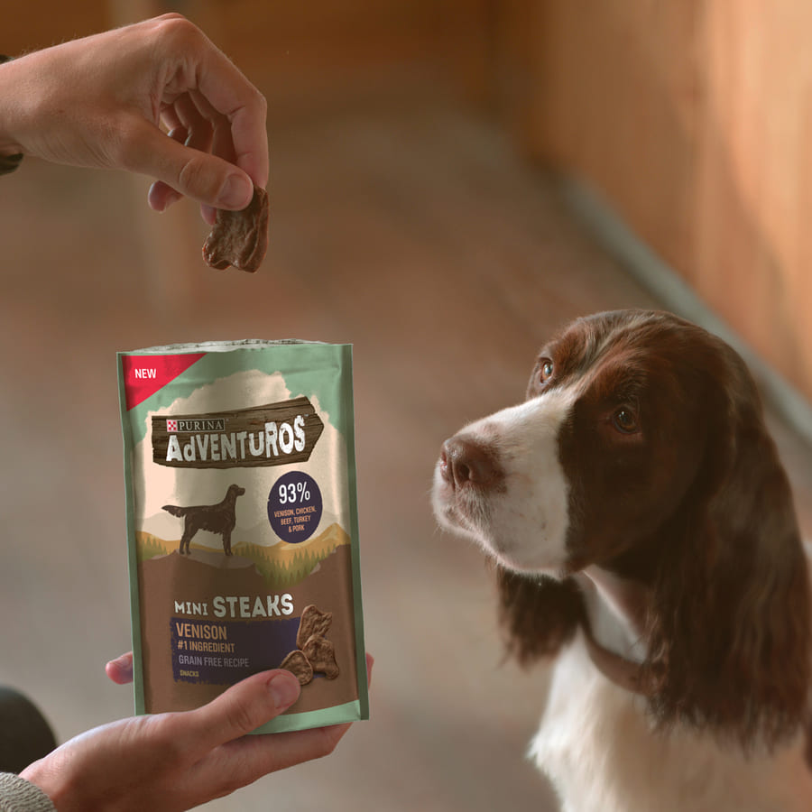 Bifes de veado em miniatura da Adventuros para cães