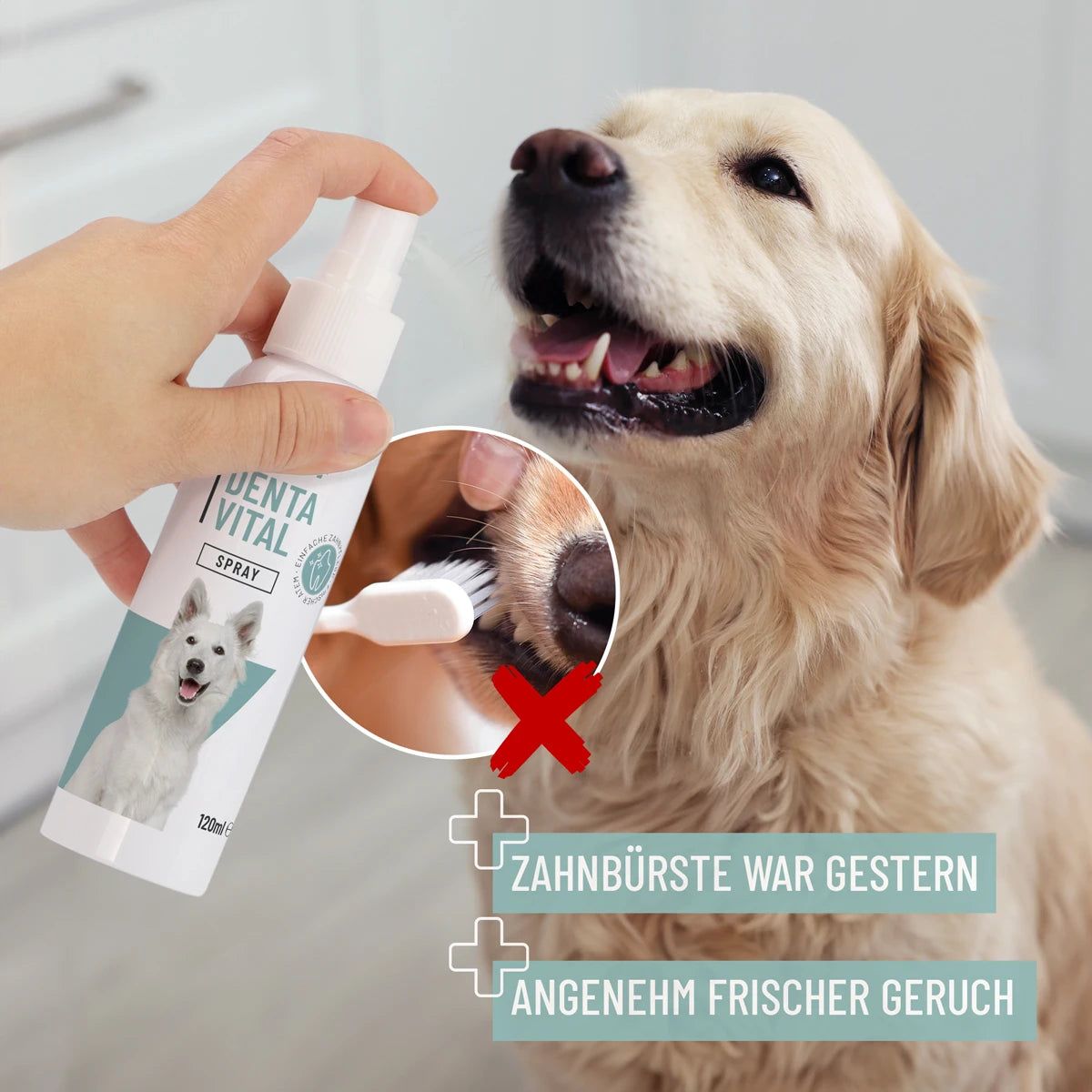 Denta Vital Spray für Hunde - ReaVET