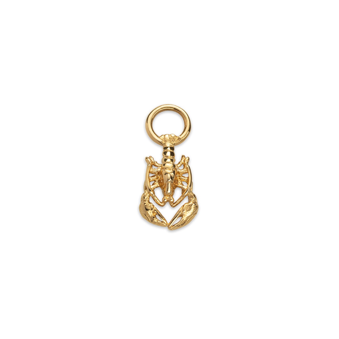 Paul Hewitt Charm Lobster Marinium Ocean Steel Goldig