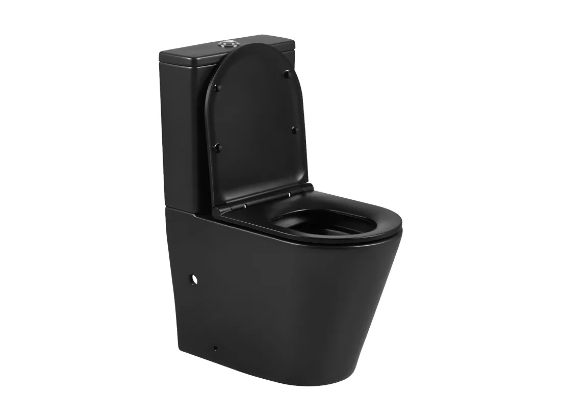 Toilette WC à poser TURIN en céramique noir mat