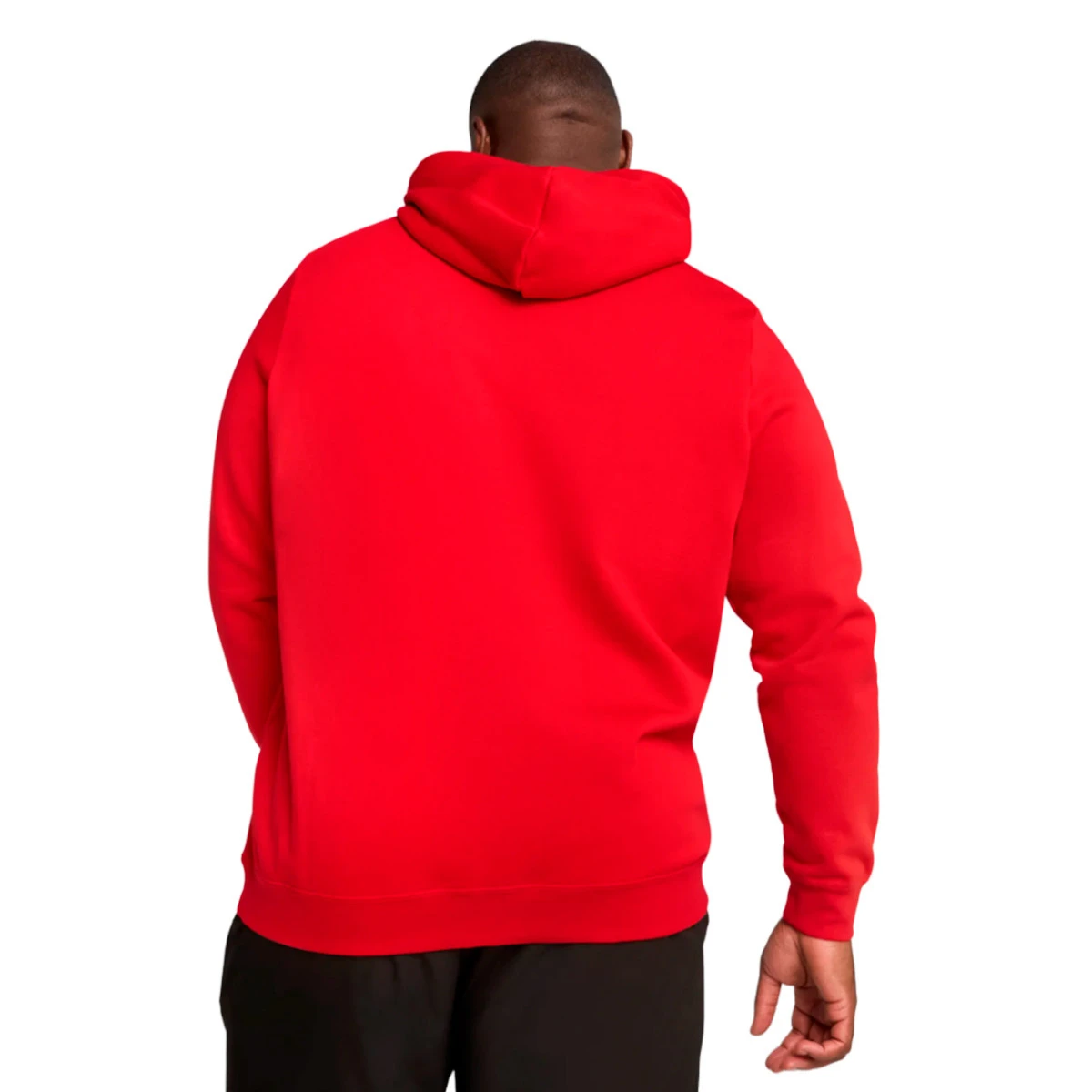 Sweatshirt Puma Essentials No. 1 Logo