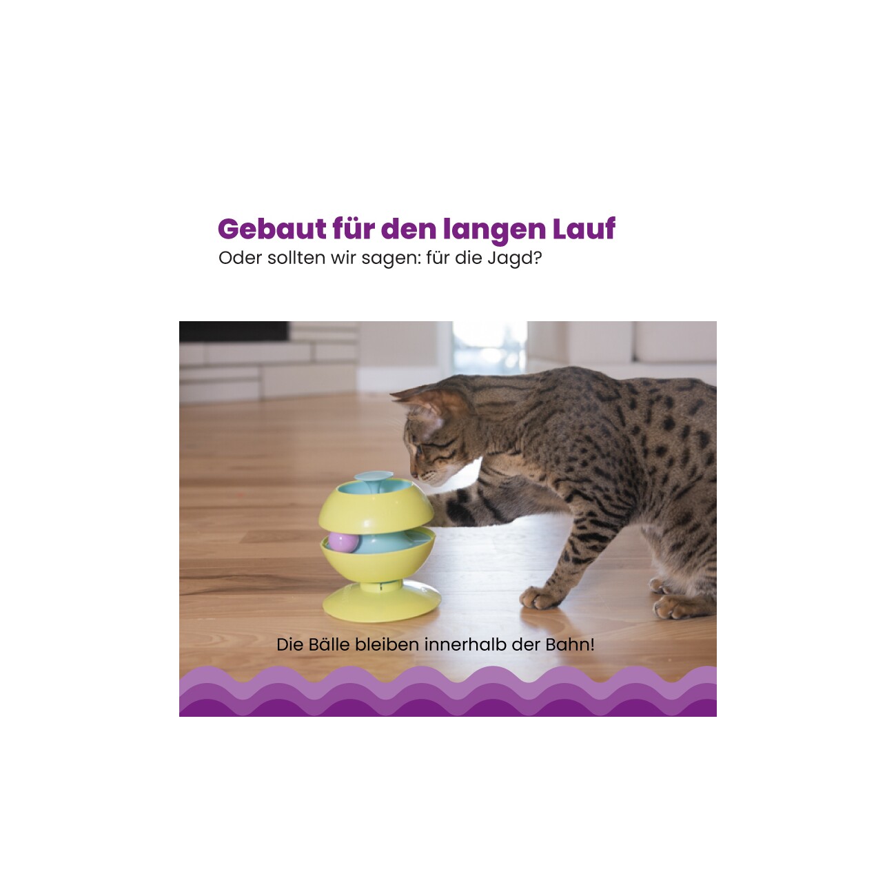 Outward Hound Twist-A-Ball-Track by Catstages