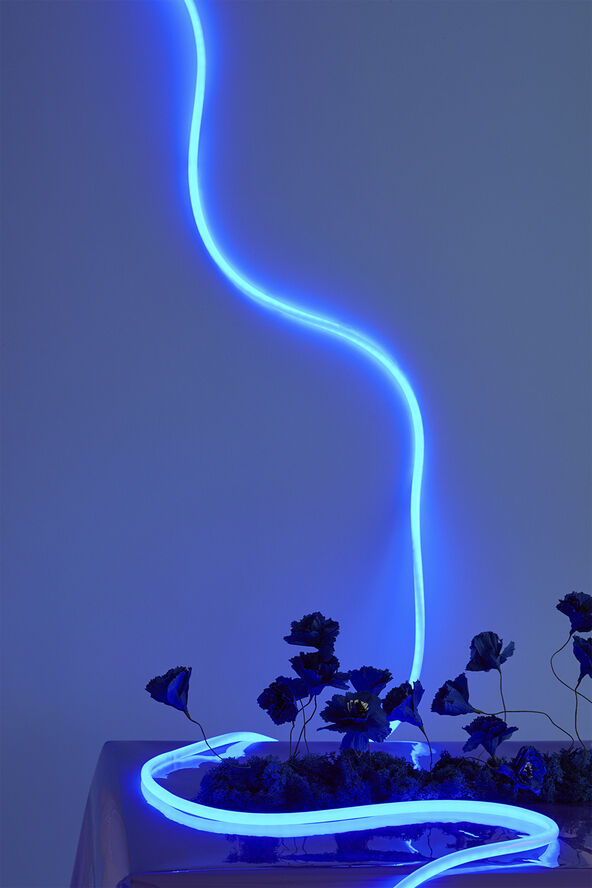 Studio About FLEX TUBE, 5 M, BLUE