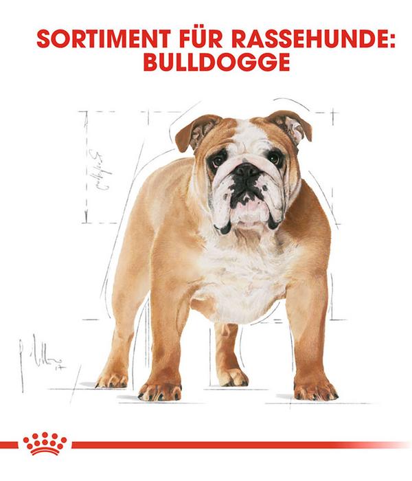 ROYAL CANIN® Trockenfutter für Hunde Bulldog