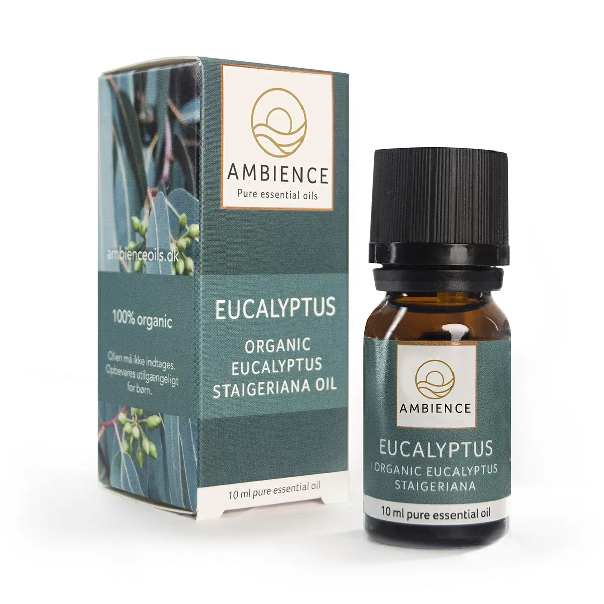 Ambience Eucalyptus ØKO - 10 ml