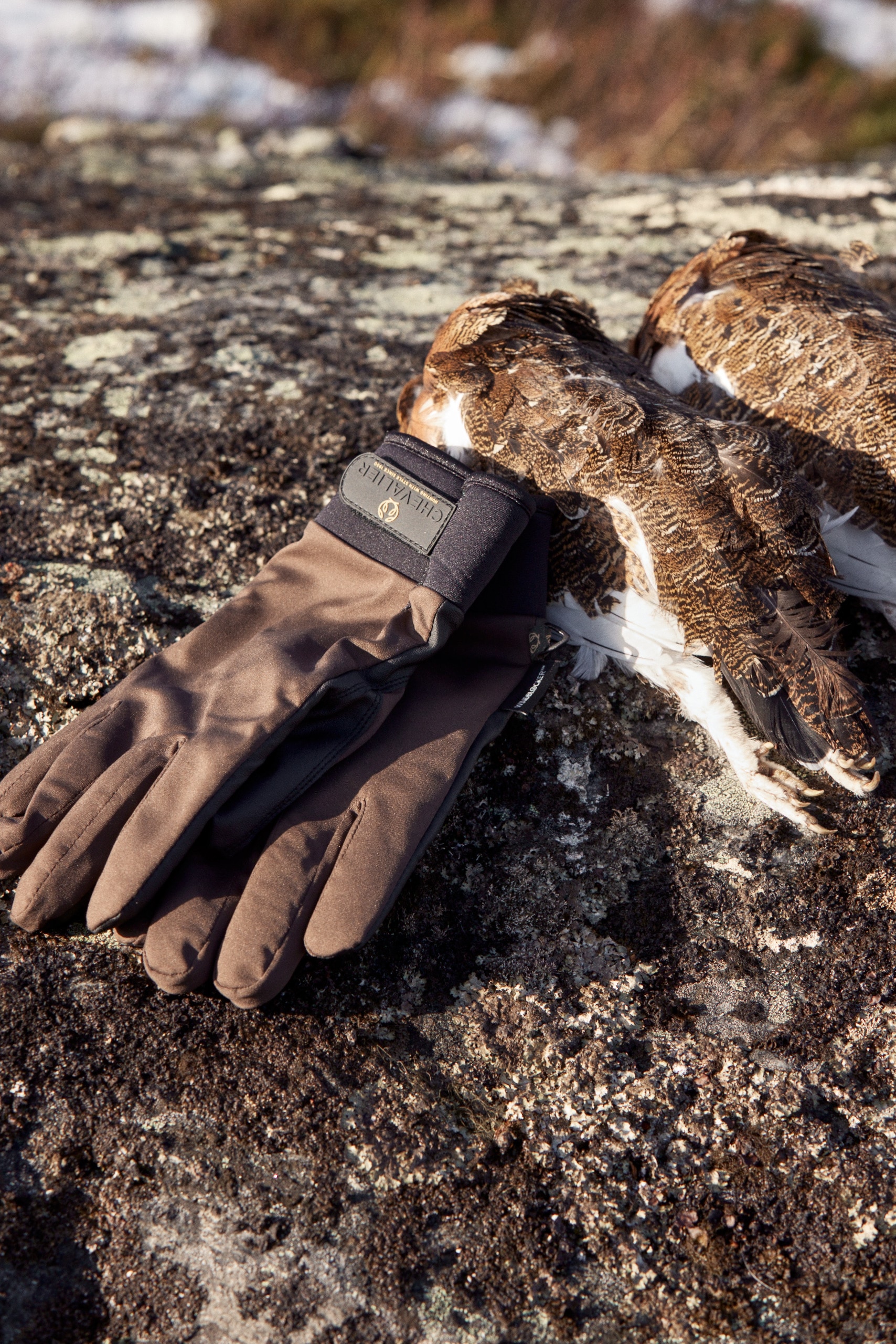 Chevalier Windblocker Skytehanske<br> Vindtette skytehansker!