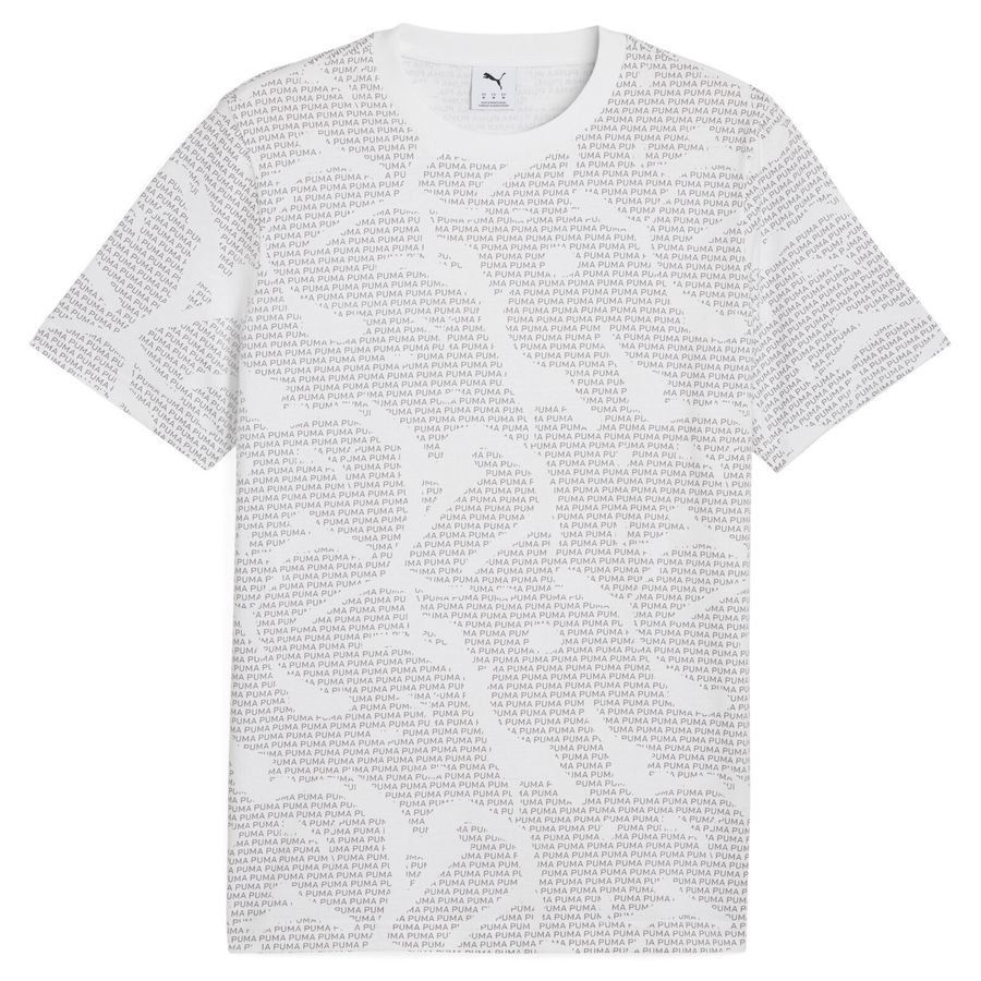 Puma Essentials Logo Lab T-Shirt