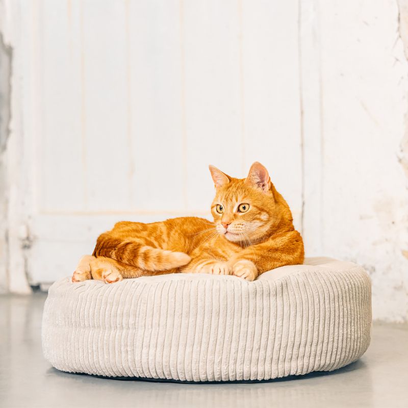 Panier côtelé Designed by Lotte pour chat