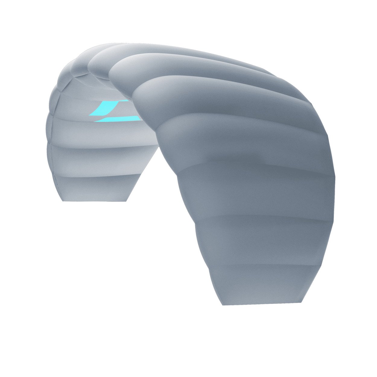 DUOTONE Trainer Lizard Grey