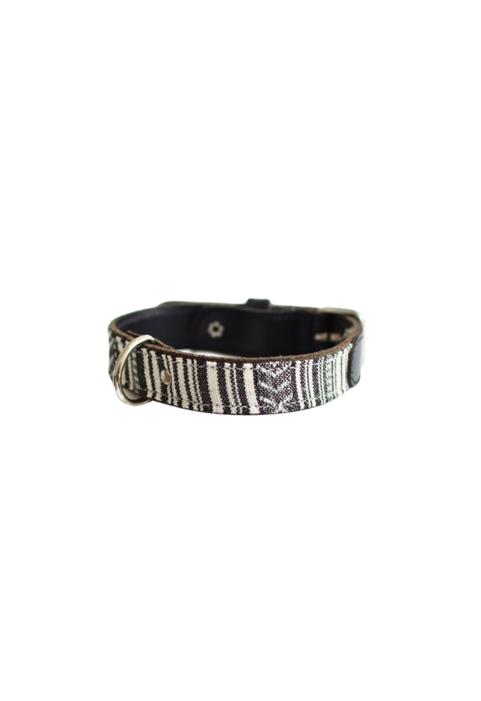 Coleira Daida para cães - Tamanho G: 34-41cm