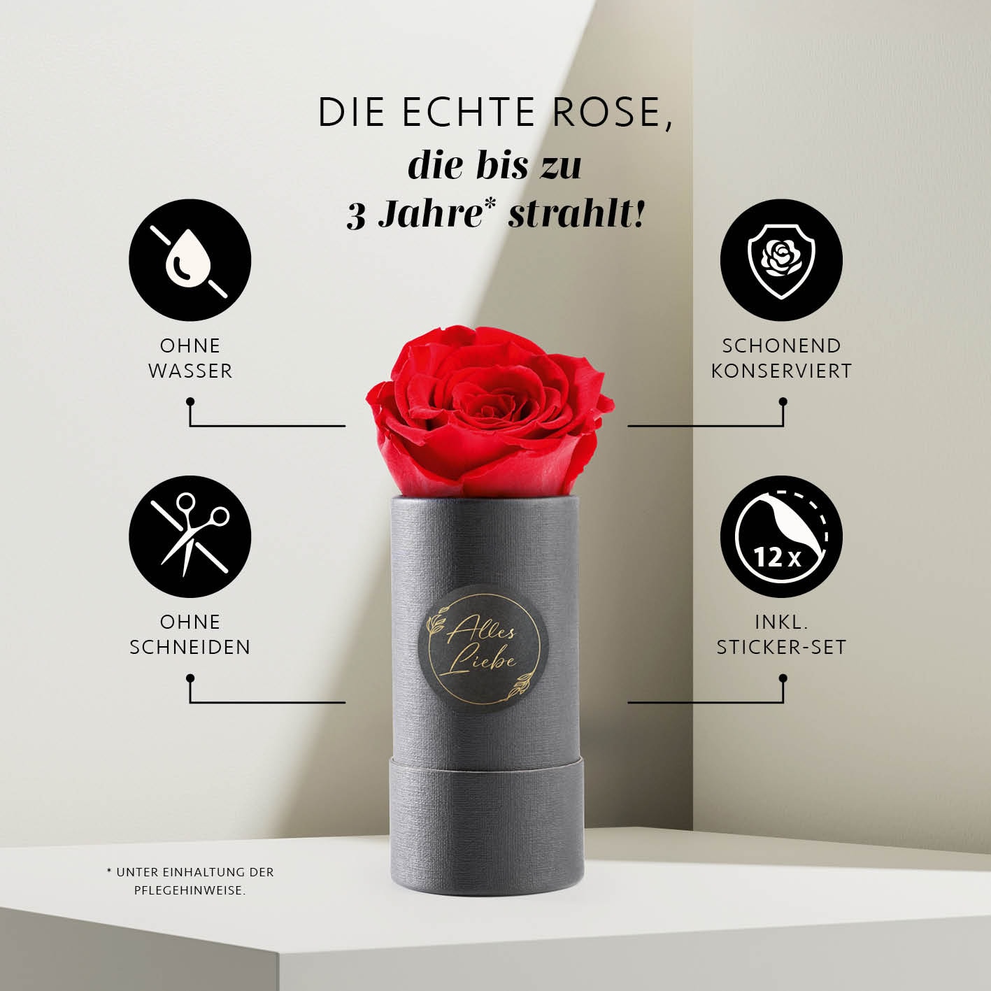 MyFlowers Infinity Rose 100% echte Rose