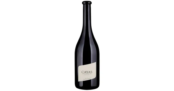 Valais AOC Syrah Cayas Jean-René Germanier (2022) – Rotwein, Schweiz (0.75l)