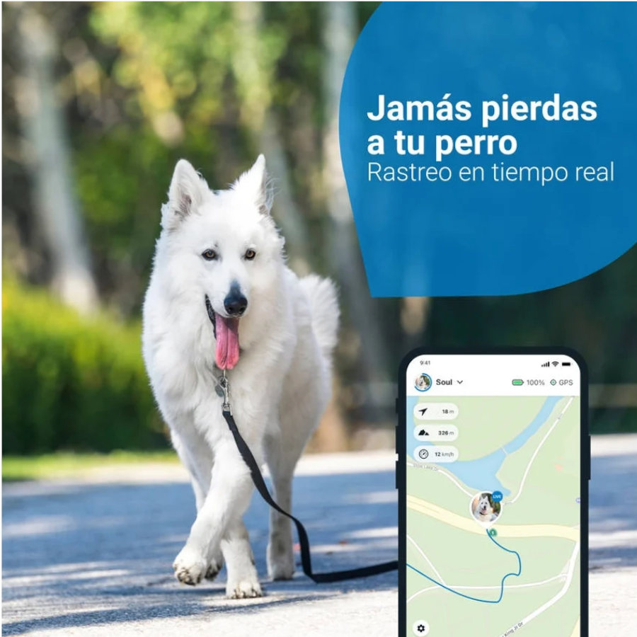 Rastreador GPS Tractive Blue para Cães