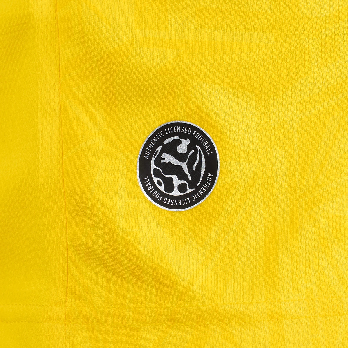 Camisola Puma Bvb Borussia Primeiro equipamento 2026-2027