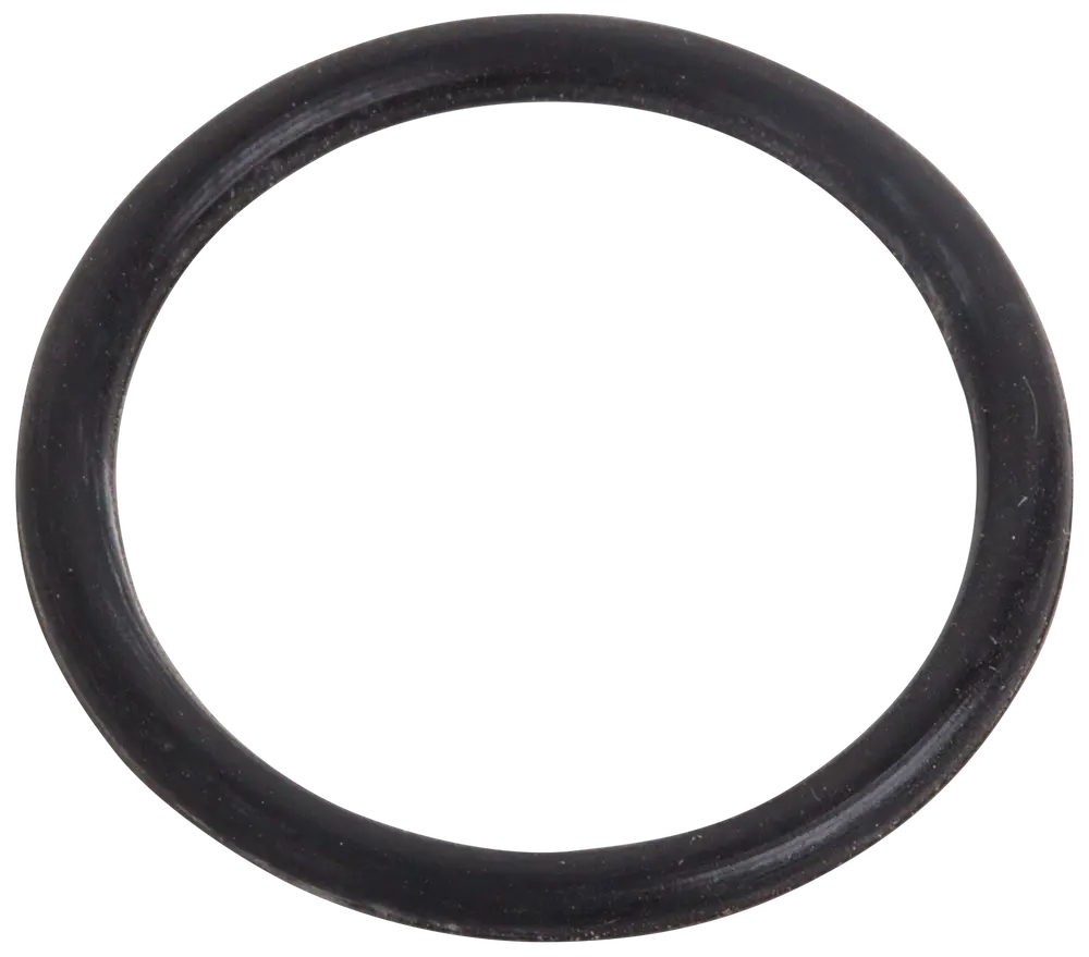 O-ring til pool - Ø2,9 cm