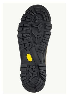 Chaussures de Randonnée Jack Wolfskin Rebellion Texapore Kaki