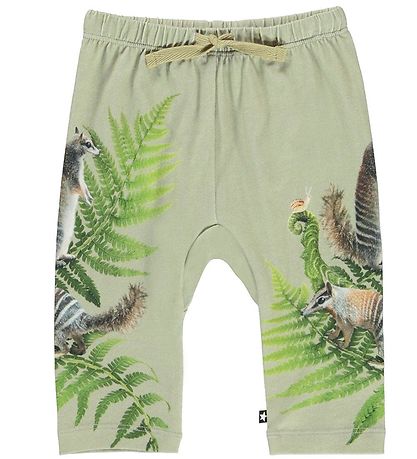 Molo Hosen - Baumwolle - Hosen - Sabb - Fern Climbers
