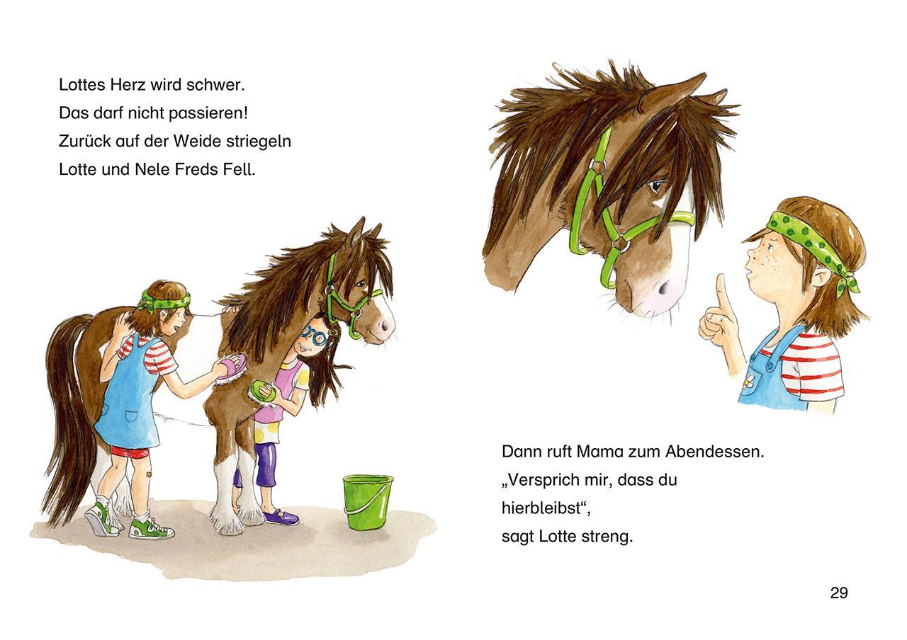 Leselöwen 1. Klasse - Zwei Freundinnen und ein freches Pony