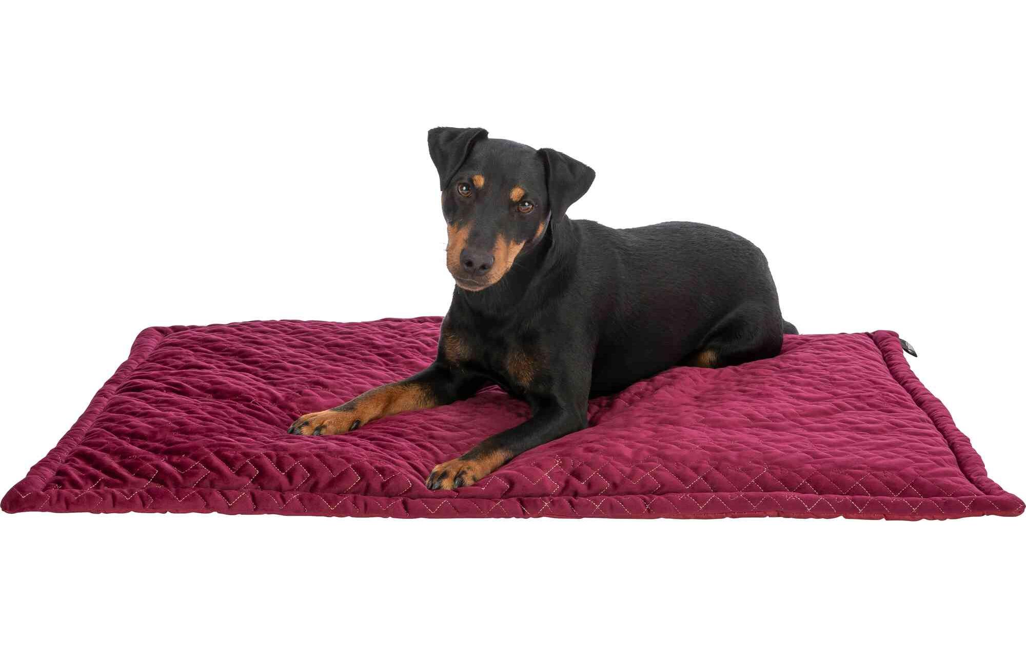 Hunde-Liegematte Natalya, 90 × 60 cm, bordeauxHundebett