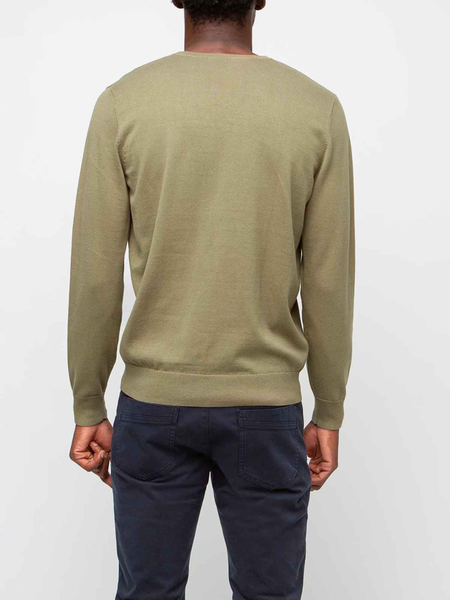 Pull Homme Col V Coton Biologique Lichen