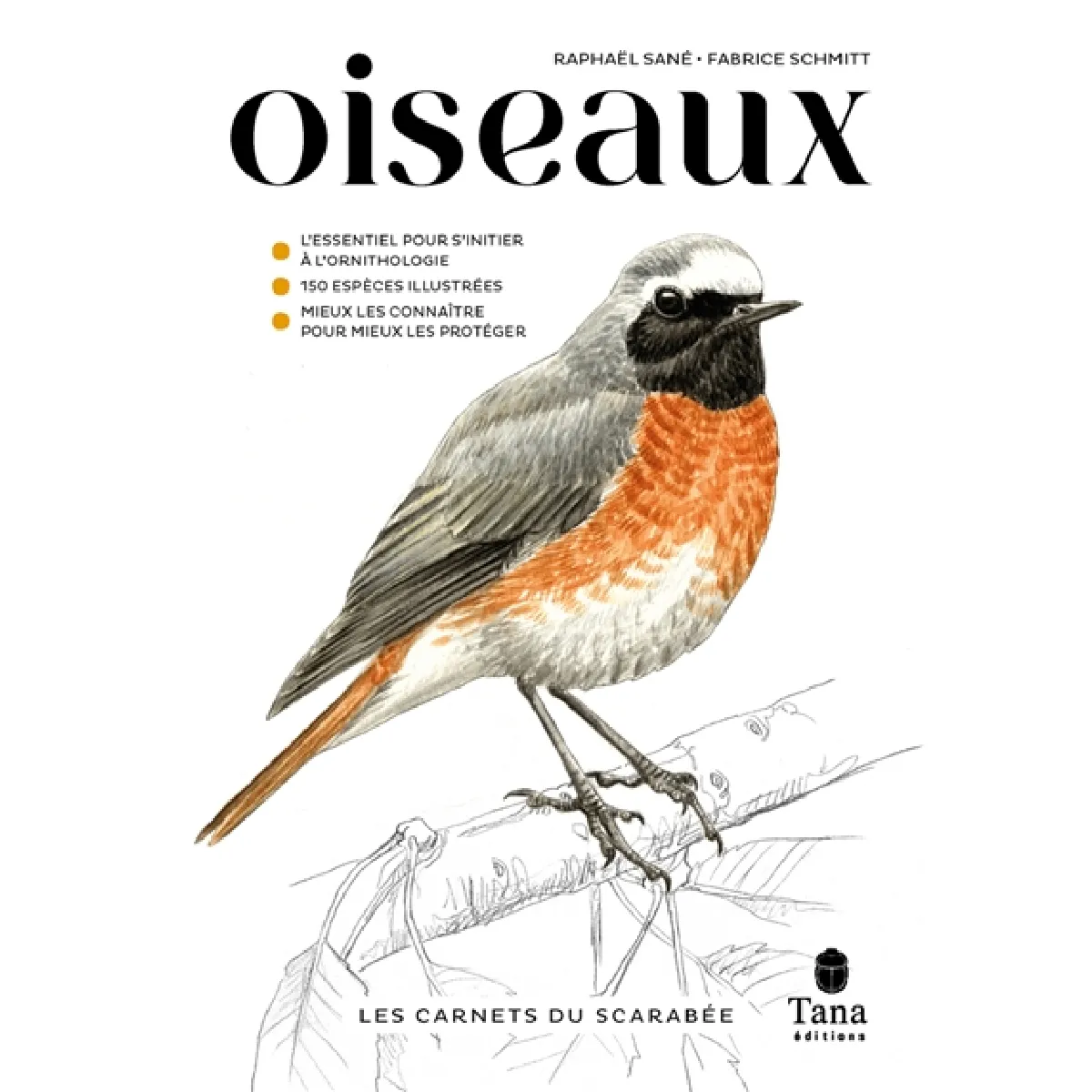 Oiseaux : l'essentiel pour s'initier à l'ornithologie, 150 espèces illustrées, mieux les connaître pour mieux les protéger · Occasion