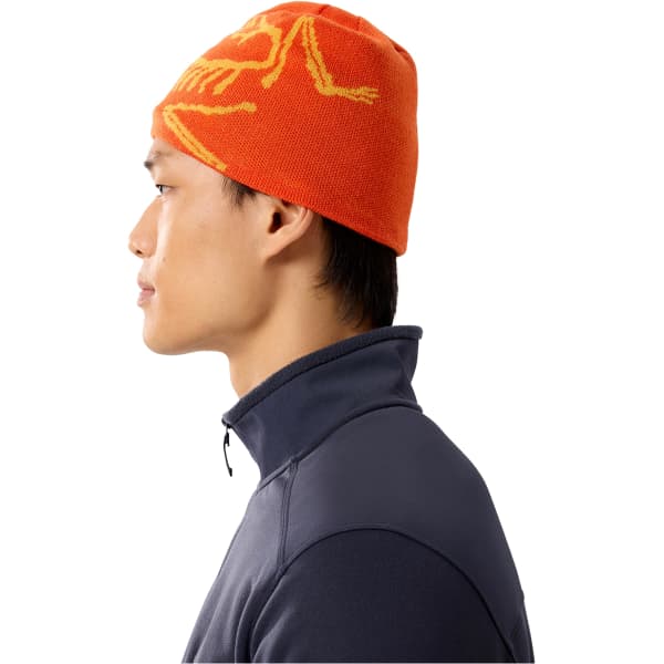 Bonnet Bandeau ski de randonnée ARC'TERYX BIRD HEAD TOQUE SOLARIS / EDZIZA