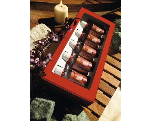 Geschenkset van 5 geuren, elk 100 ml