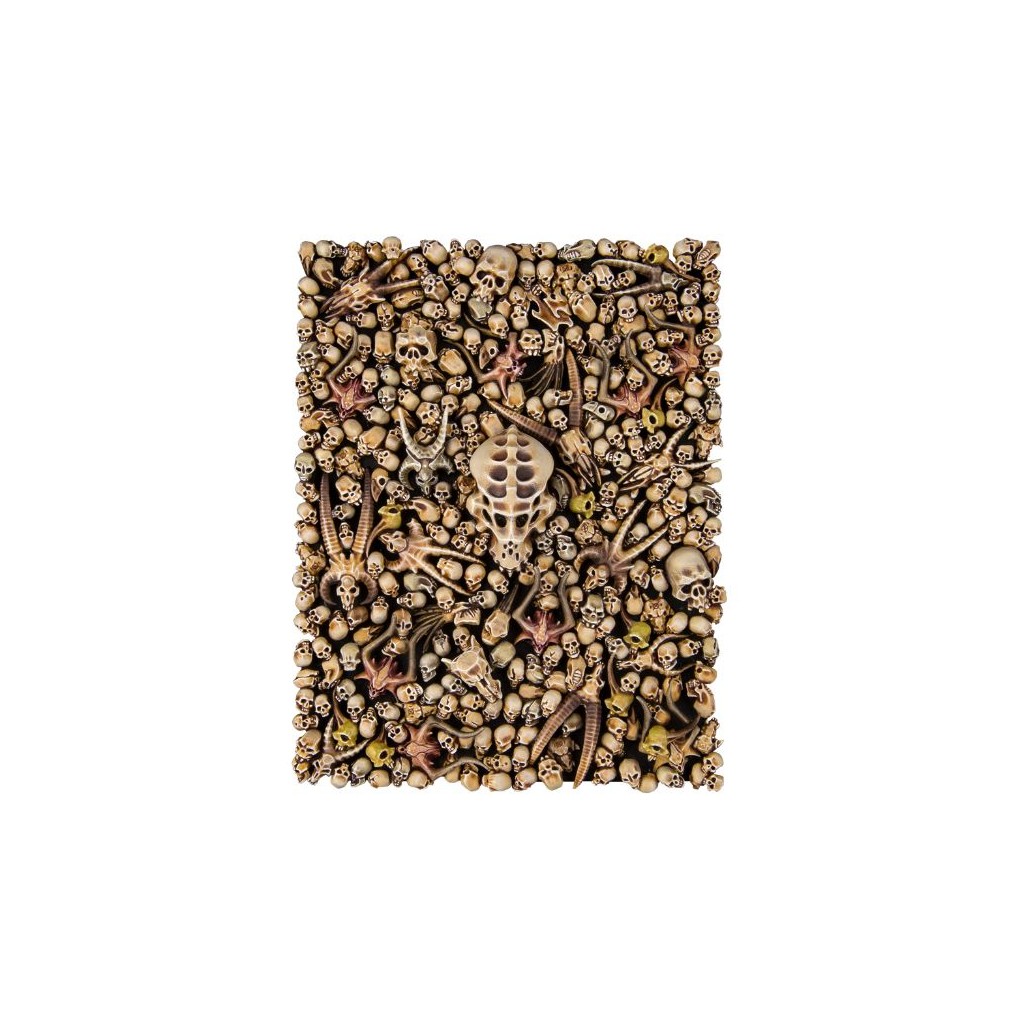 Citadel : Accessoires - Skulls
