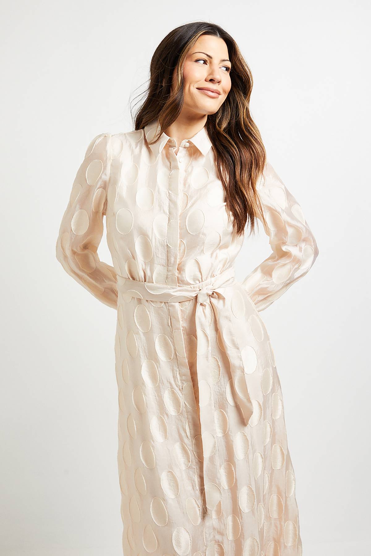 Wallis Robe Midi Chemise En Organza À Pois