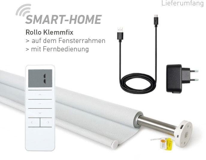 Good Life Elektrisches Rollo »Vau - SMART HOME« Lichtschutz ohne Bohren mit Fernbedienung