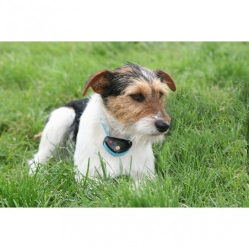 Coleira spray Canallam para cães, preta e azul