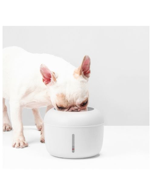 Petlux Drinkfontein Met Filter - Kattendrinkbak - 20x20x15 cm Wit M