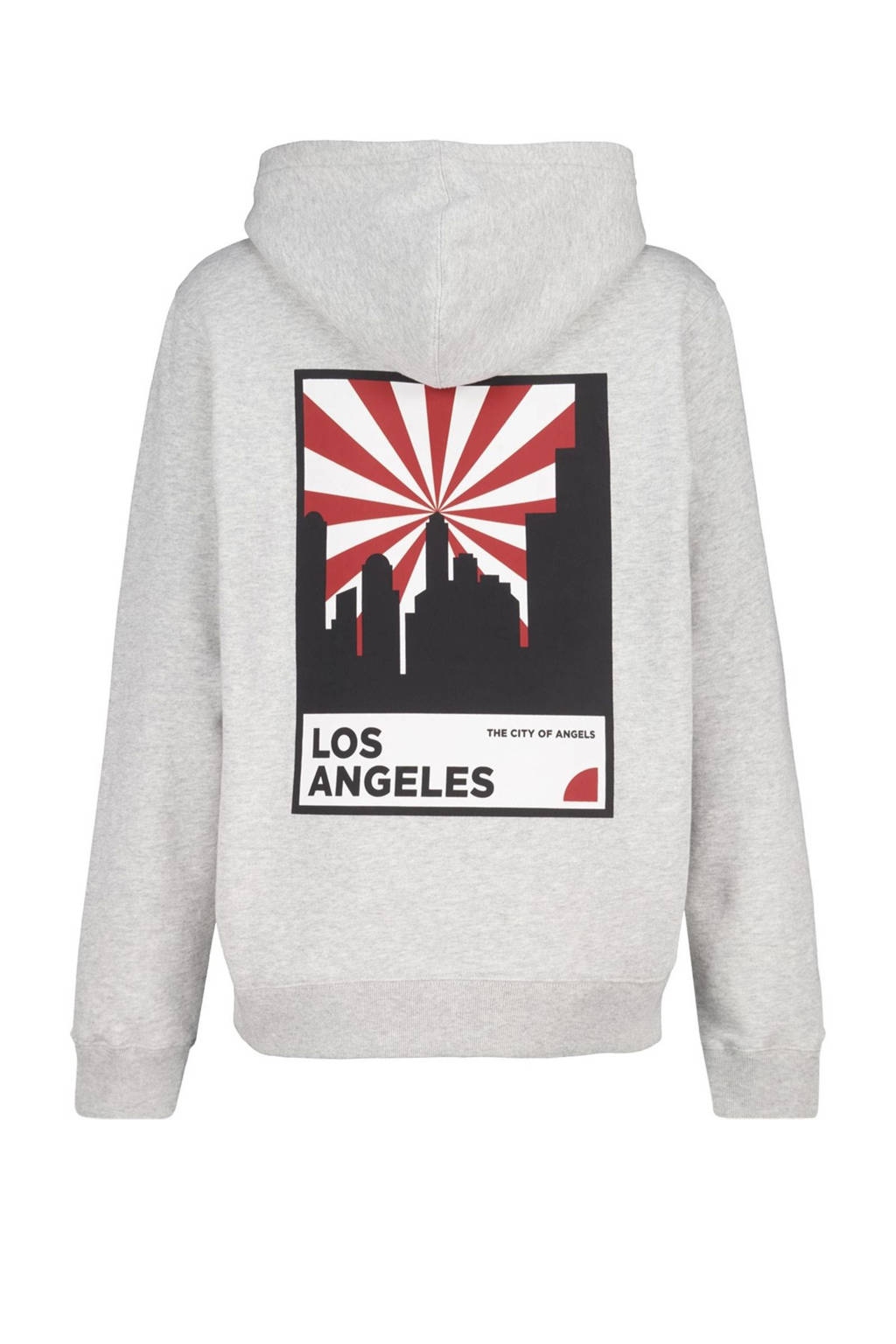 America Today hoodie grijs