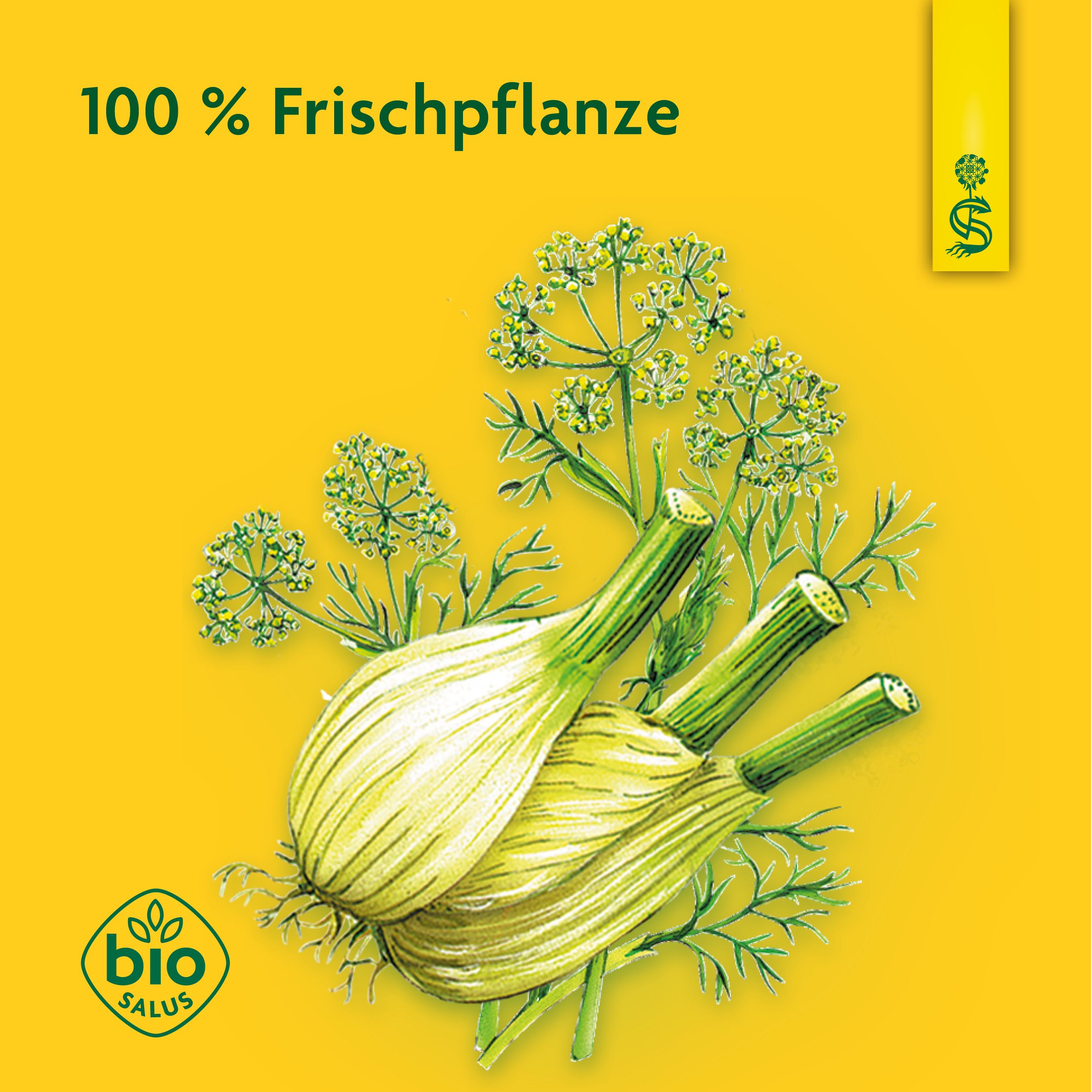 Schoenenberger® naturreiner Gemüsesaft Fenchel