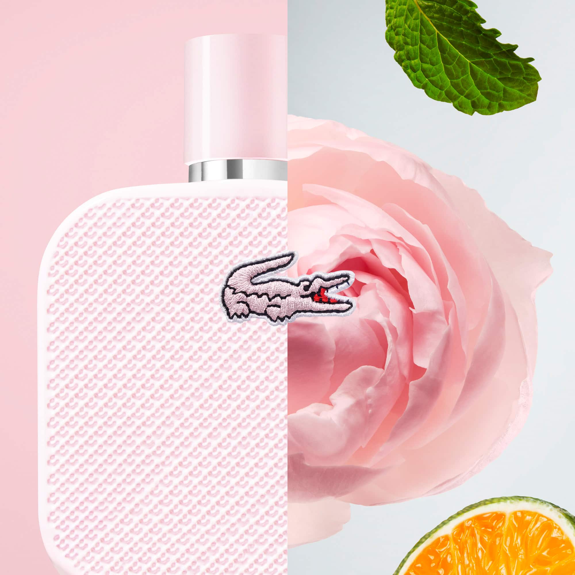 L.12.12 Rose Eau de Parfum 50ml Parfums - Blanc - Lacoste - Femme