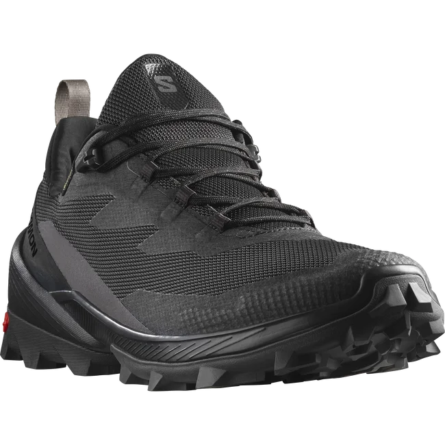 CROSS OVER 2 GORE-TEX  Hiking-Halbschuhe Herren