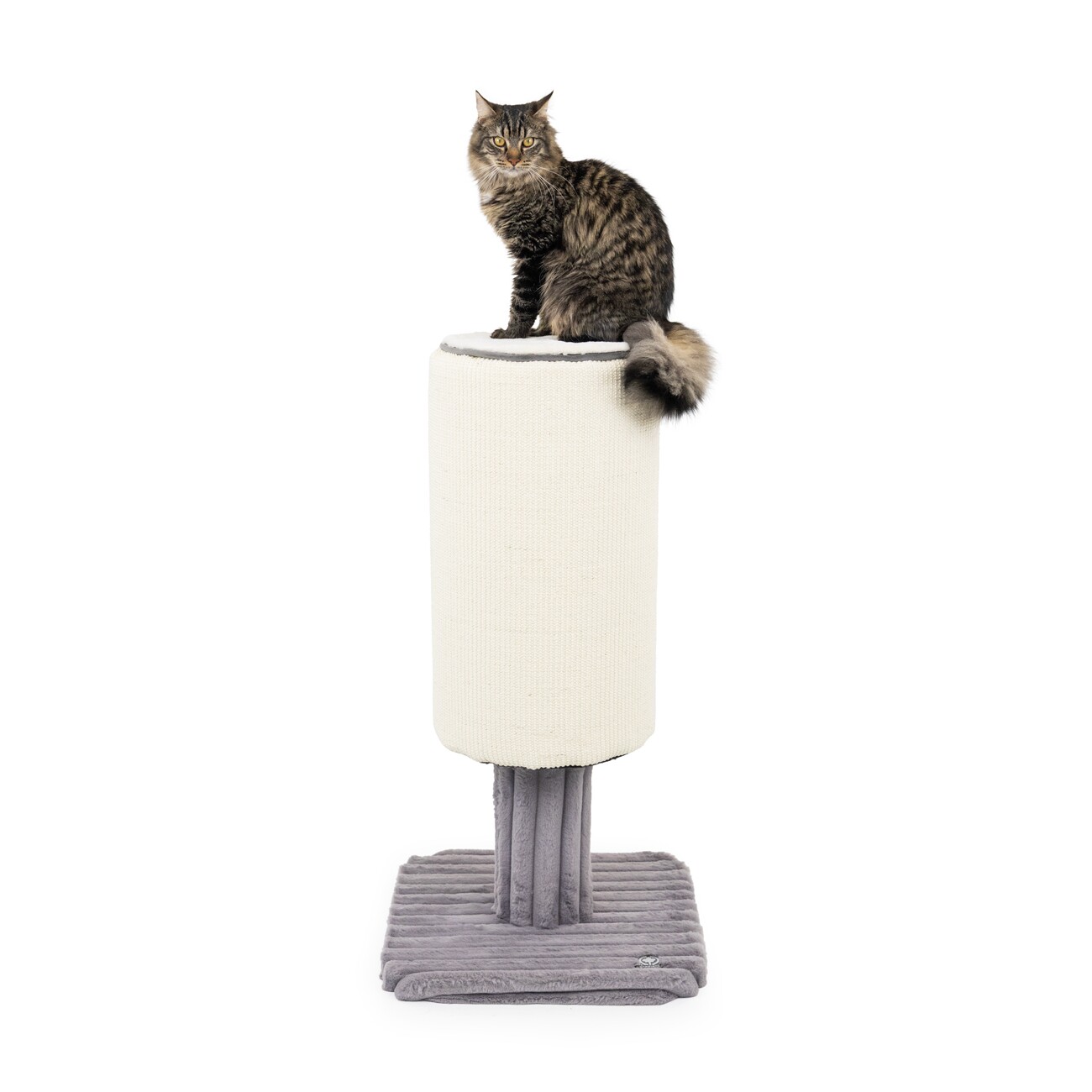 Canadian Cat Company Kratzstamm Jasper