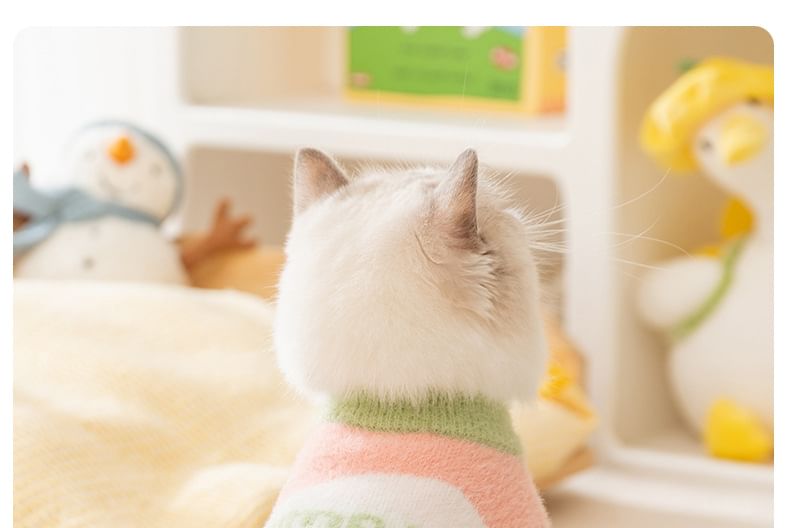 Cissilli - Letterkleurblok Pet Top