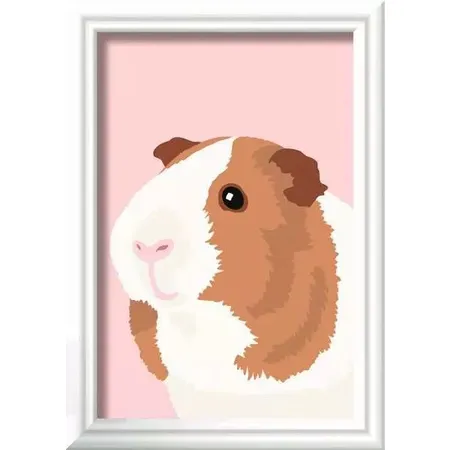 Ravensburger Malen nach Zahlen - Niedliches Meerschweinchen