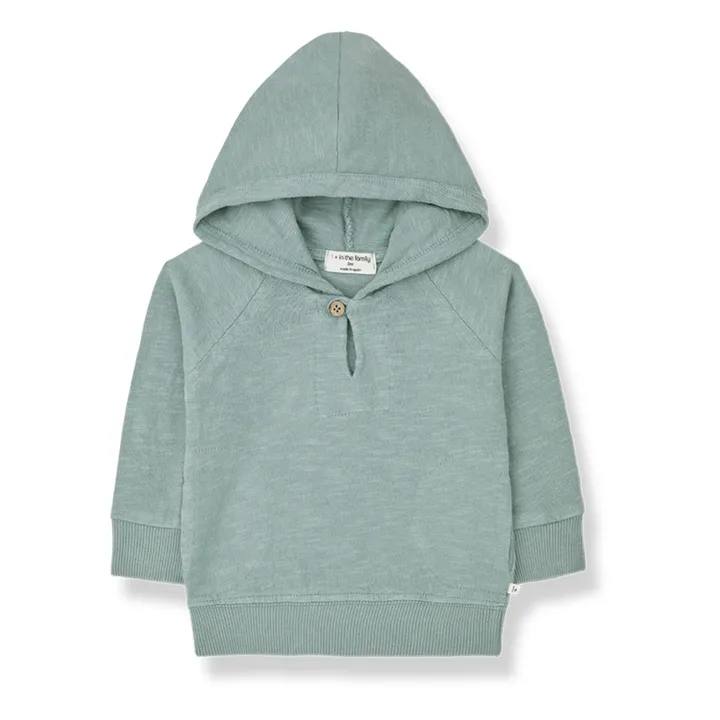 1+ in the family Sweat Marcello Coton Flammé | Bleu Vert