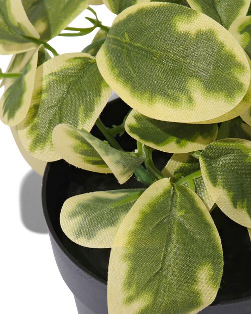 plante artificielle pervenche