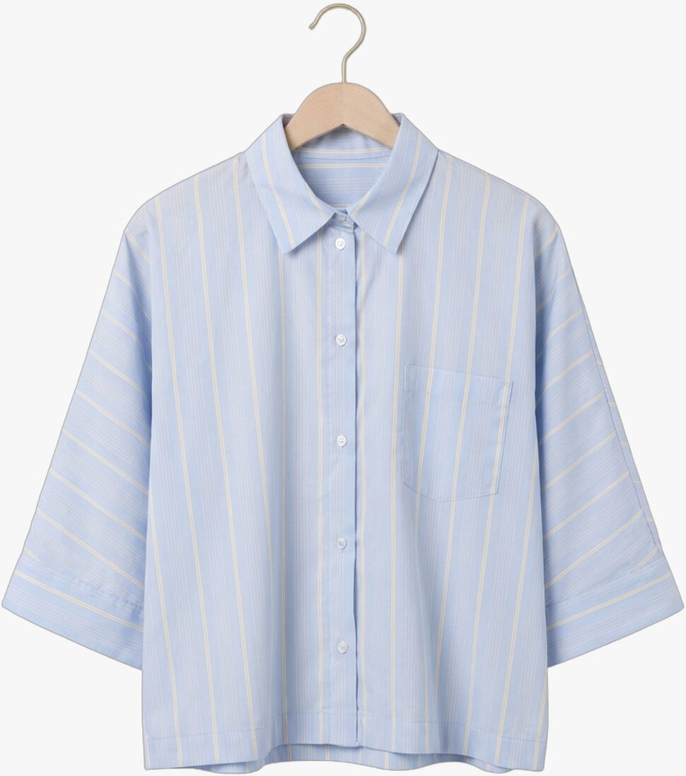 blauwe janice blouses carl blouse