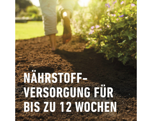 COMPO SANA® Kwaliteitspotgrond 20 L voor alle kamer-, balkon- en tuinplanten