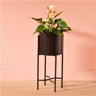 Cache-pot sur pied