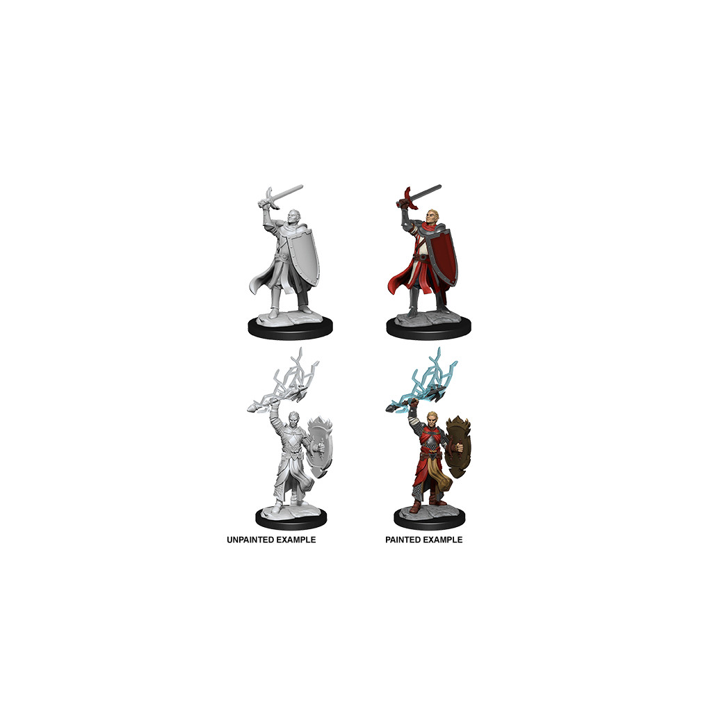 D&D Nolzur's Marvelous Unpainted Miniatures: Half-Elf Paladin Male