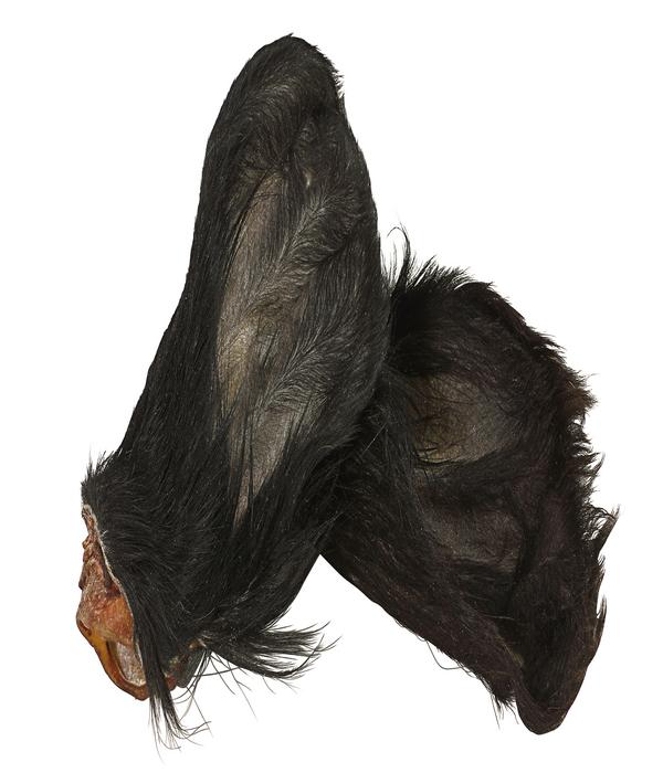Dehner Wild Nature Hundesnack Kalbsohren mit