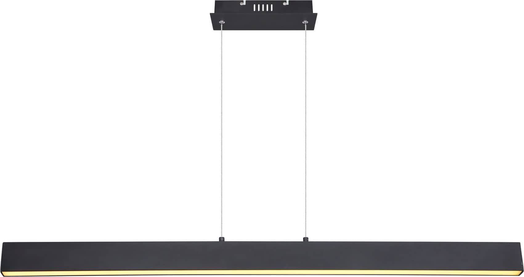 LED-Pendelleuchte 000875188701