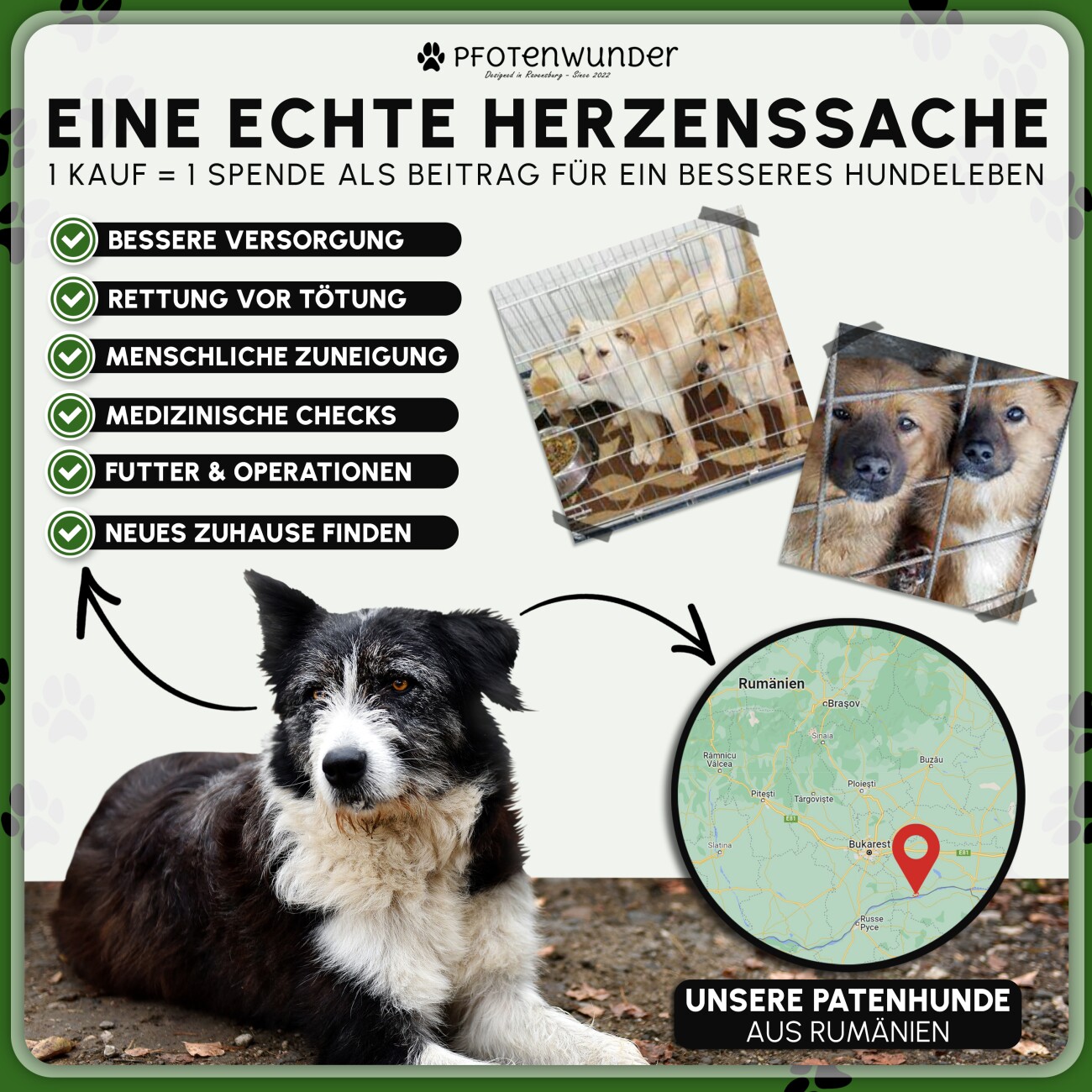 PfotenWunder® 6x EASY-WASH-Ersatzrasen für Hundeklo, Hundetoilette für kleine & große Hunde, 100% Festes Gras, Welpentoilette drinnen Welpenklo zuhause Gras Hundetoiletten Balkon Indoor WC Klo