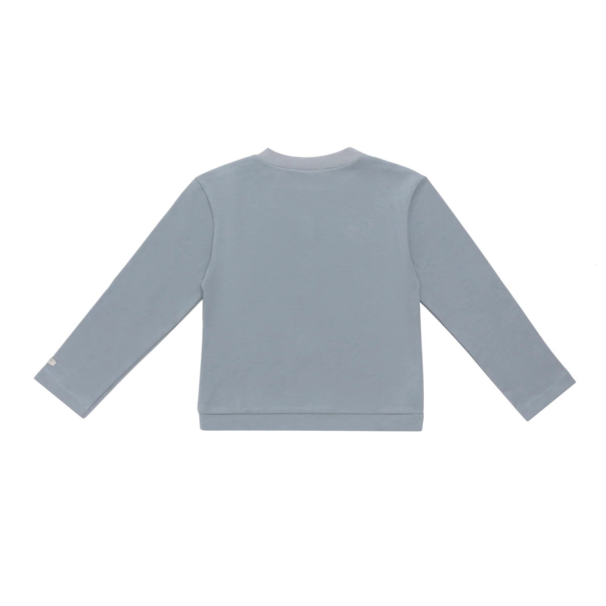 Jorijn Longsleeve | Bear | Foggy Blue