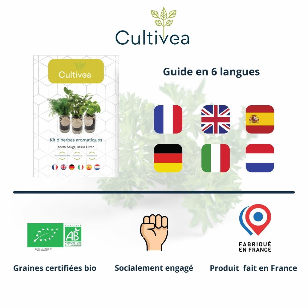 Cultivea kit prêt à pousser d’herbes aromatiques – aneth, sauge, basilic citron